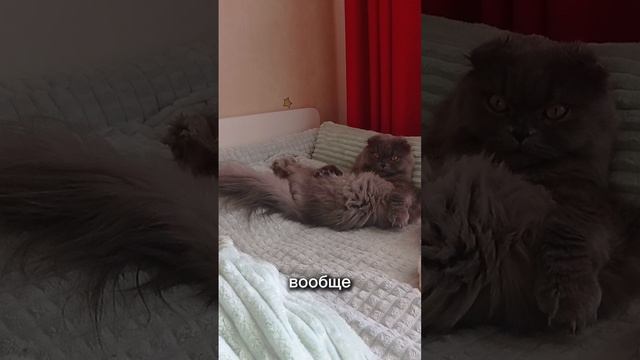 Живу как бомж