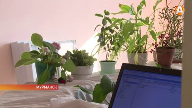 Офис врачей общей практики на улице Кильдинской скоро возобновит свою работу после ремонта смотреть онлайн