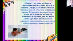 ИЗО 14 урок Рисование птиц с натуры или по памяти 4 класс  Климова Н  В