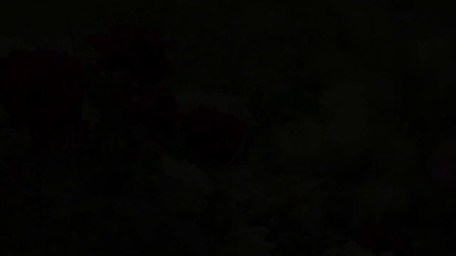 Самая красивая мелодия в мире! Прекрасная музыка Сергея Грищука! Музыка любви (Красивые цветы)#4 смотреть онлайн