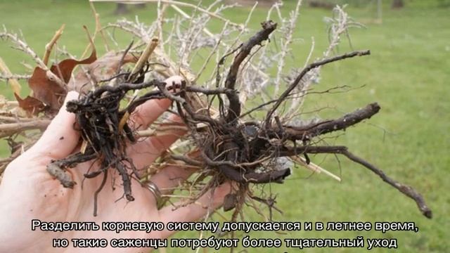 Ландшафтные тайны