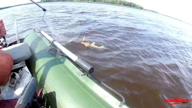 Судак_КВХ смотреть онлайн