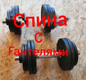Тренировка спины дома /Мышцы спины с гантелями