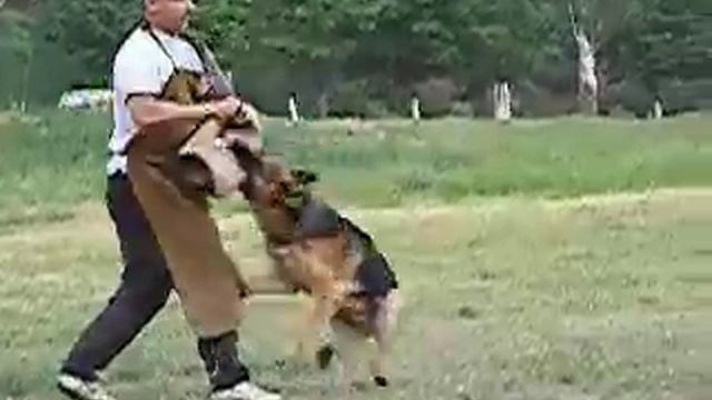 Doktor Dirk Solo Rigoletto - лобовая смотреть онлайн