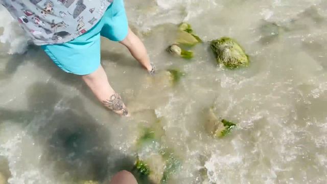 ? ЖИЗНЬ В ДОМЕ НА КОЛЁСАХ НА БЕРЕГУ МОРЯ смотреть онлайн