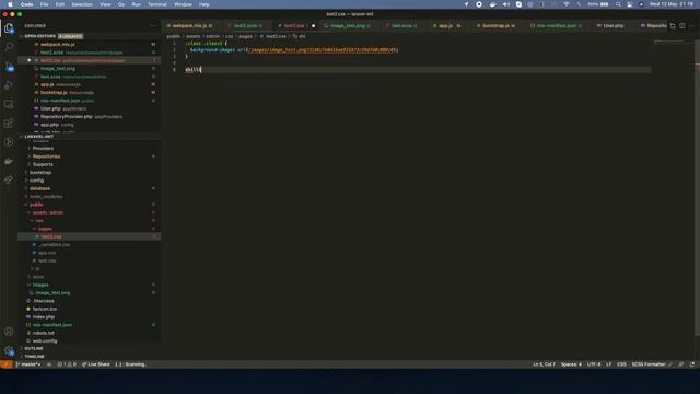 Lưu ý khi viết scss và images khi sử dụng laravel mix смотреть онлайн