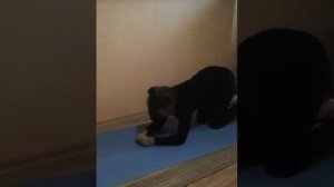 Как научится делать переворот вперёд / 5 упрожнений для переворота вперёд