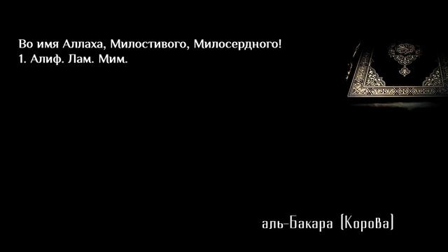 Удивительное чтение Корана! смотреть онлайн