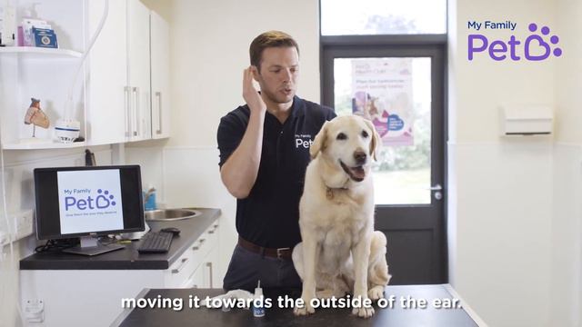 How to Clean Your Dog's Ears - My Family Vets смотреть онлайн