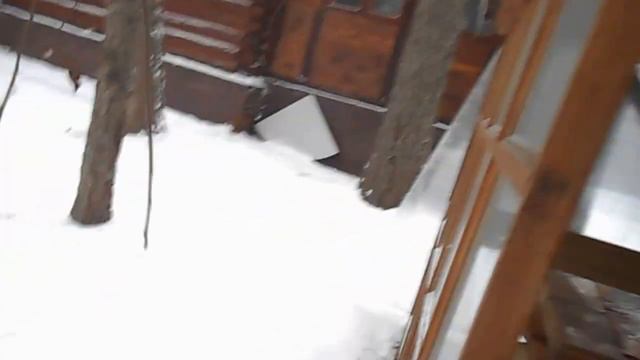 Дача на Сходне 1 смотреть онлайн