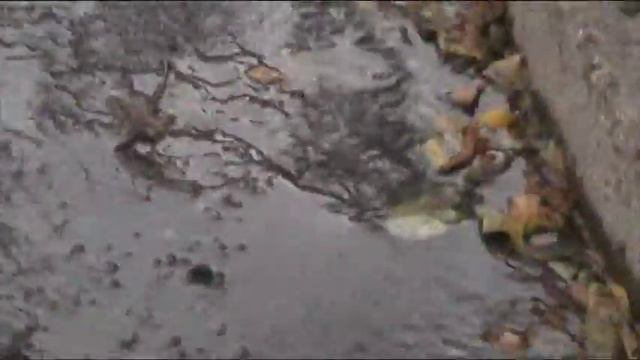 Денежные реки скоро станут ледяными ... Кривой Рог 2016 смотреть онлайн