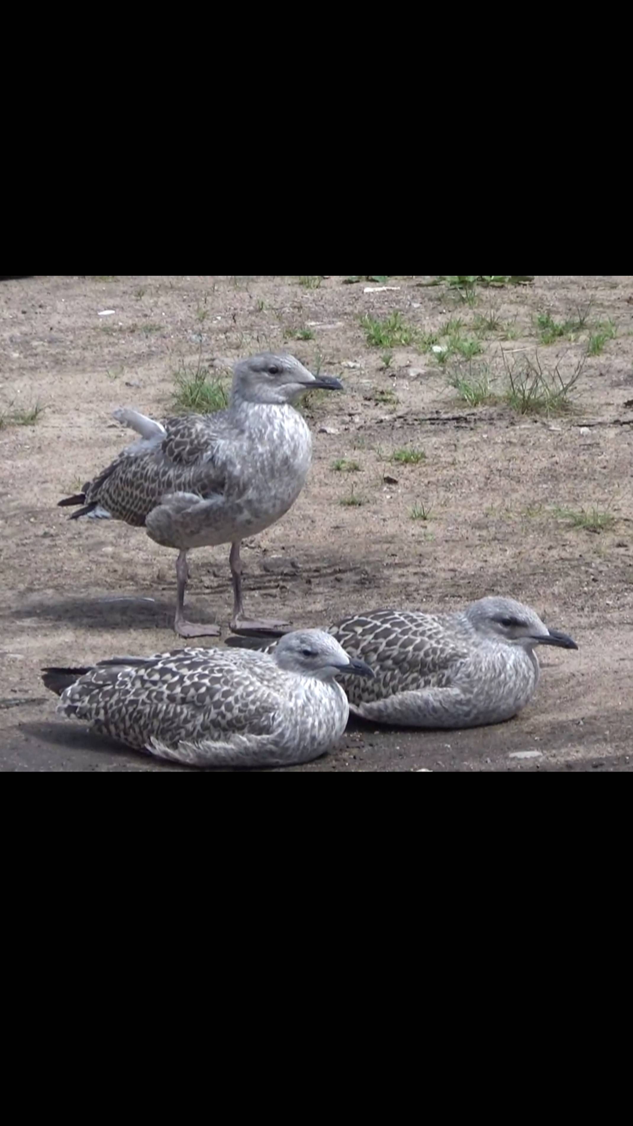 Фотолюбитель