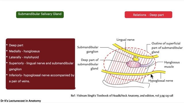 Submandibular Salivary gland смотреть онлайн