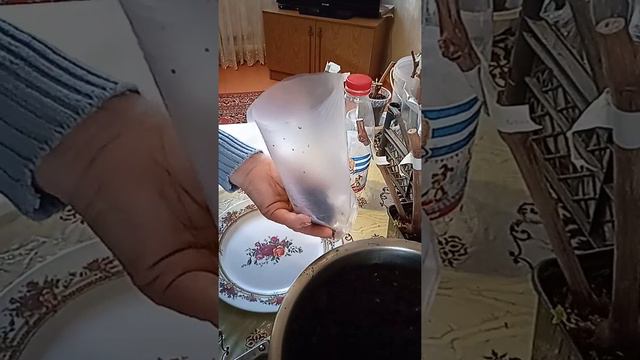 100% Укоренение черенков винограда! смотреть онлайн