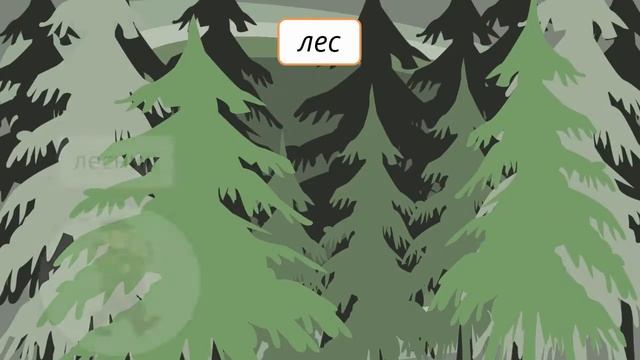 Однокоренные слова и формы слова