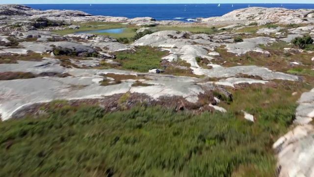 Средства по уходу за бельем от ASKO смотреть онлайн