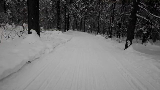 SkiTeamPerm. Эстафетки и работа над техникой конькового хода смотреть онлайн