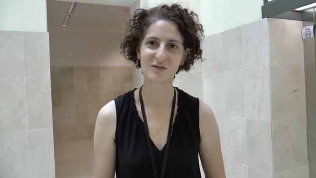 Sylvia Serfaty, conférencière à l'ICIAM 2019 смотреть онлайн