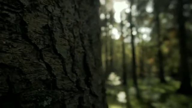 Danza medieval смотреть онлайн