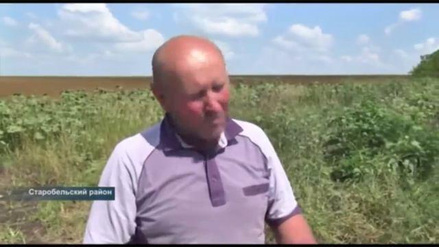 В Старобельском районе фермеры не могут добраться до своих полей смотреть онлайн