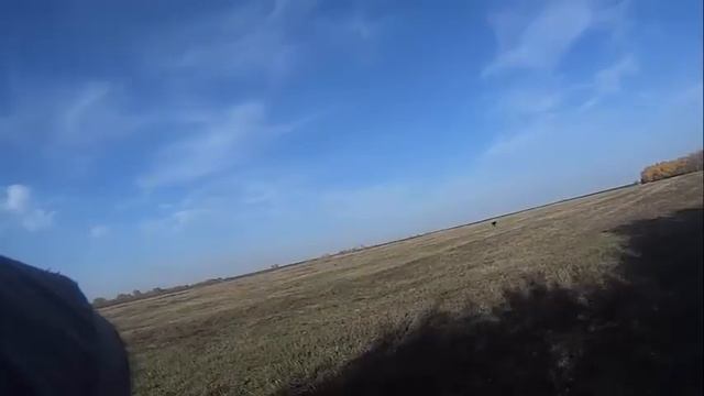 подьём куропаток смотреть онлайн