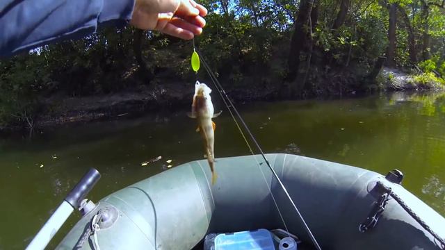 СПЛАВ ПО Р.ПСЁЛ, ЛОВЛЯ ГОЛАВЛЯ!!! смотреть онлайн