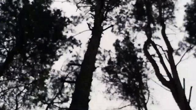 ?️Ходила в лесопарк кормить белок