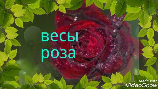 Гороскоп " Цветов " смотреть онлайн