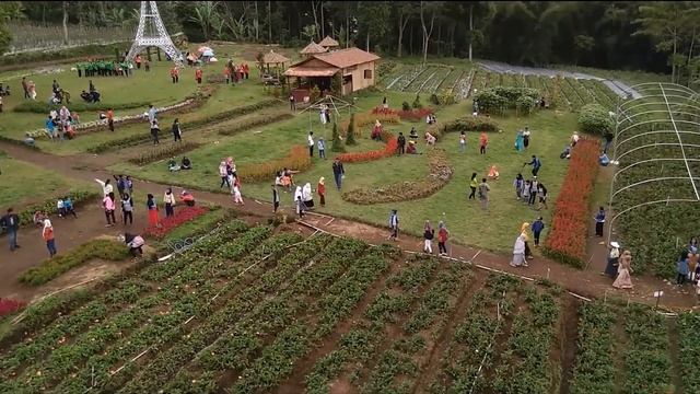 #dobbydrone #jawatengah #DOBBY DRONE Result Video at #Celosia Garden #Bandungan Central Java смотреть онлайн