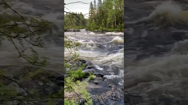 Рыбалка на реке Умба. Заполярье. 2021. Ч6 смотреть онлайн