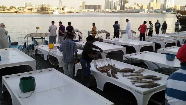 Fish Market Ajman-UAE смотреть онлайн