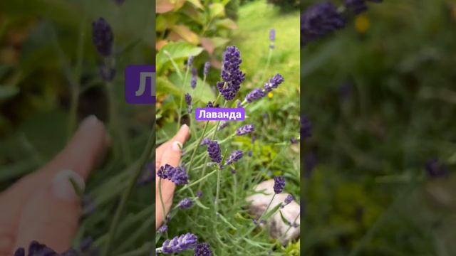 Строительные Загадки