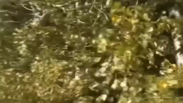 «Уйдёт последний ветеран» Владимир Филатов лучшие стихи смотреть онлайн