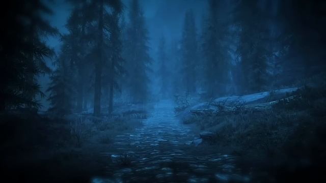 Skyrim - Night Rain Ambiance 2 (ambient music, raindrops, crickets, trees) смотреть онлайн