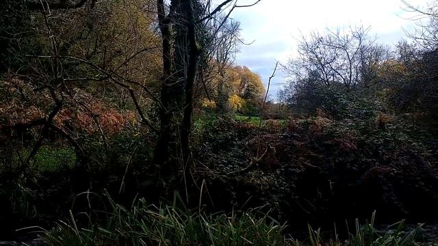 343. КРАСНЫЙ ДЕНЬ КАЛЕНДАРЯ В БРИТАНИИ - 11 НОЯБРЯ смотреть онлайн