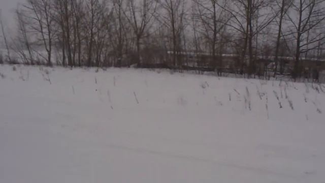 Дети катаются на ХАСКИ! ШОК!!!!!! ДЕТИ УПАЛИ! 280 КМ В ЧАС! ДЕТИ КРИЧАТ ОТ УЖАСА! смотреть онлайн