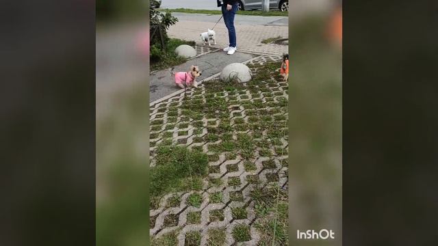 07.09.2022г. Ветренно...