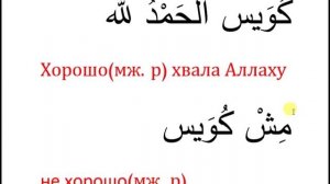 арабский язык египетский диалект | приветствие по египетски №3