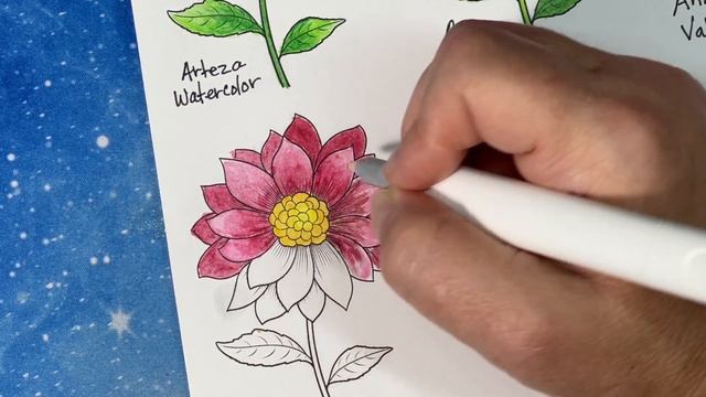 Coloring Supplies Collection-Video #4- Watercolor Pencils-Faber Castell Albrecht Dürer смотреть онлайн
