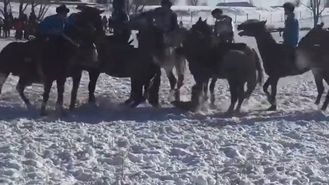 Шу кокпар Нуркен палуан Алматы кокпар Балуан Шолак кокпар смотреть онлайн