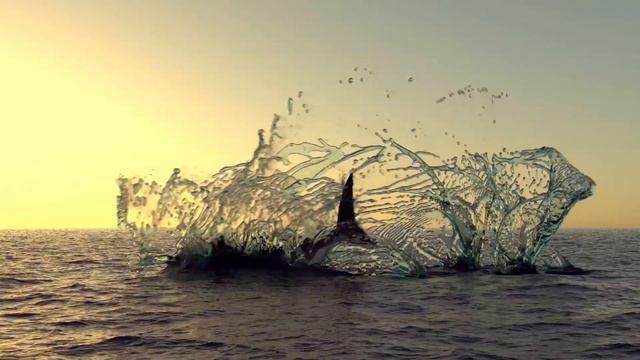 Most Dangerous Beaches смотреть онлайн