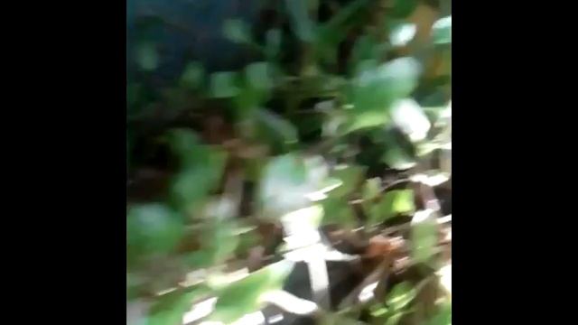 Хорошо когда грязно. смотреть онлайн