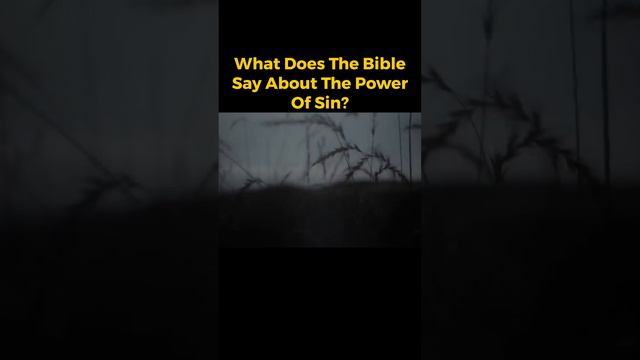 What Does The Bible Say About The Power Of Sin смотреть онлайн