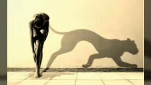 Стих-Басня.Пингвин смотреть онлайн