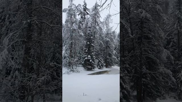 Зимняя сказка в Линдуловской роще смотреть онлайн