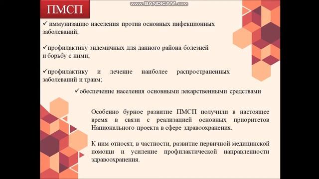 Первичная медико-санитарная помощь (ПМСП)