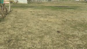 Новое Приобретение ----------  Два вида  Ручных Бура от  TORNADICA .   SUPER и  PROFI