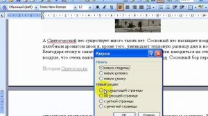 Как сделать разные колонтитулы