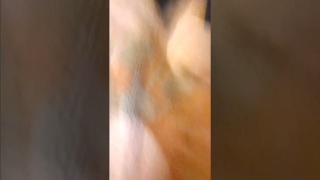 Комар пискун смотреть онлайн
