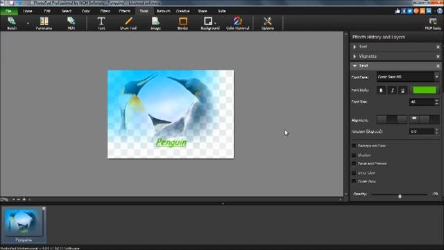 Tutorial For Photo Pad (By NCH Software) смотреть онлайн